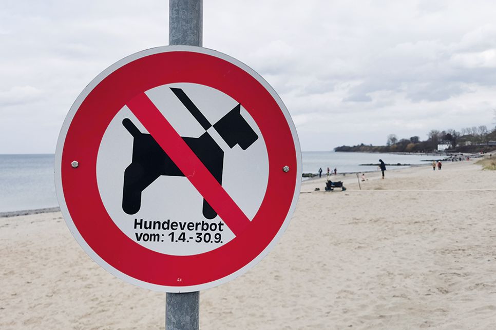 Wie hier in Niendorf/Ostsee weisen Schilder auf das Verbot am Strand hin.
