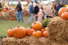 20. Kreativmarkt „Herbstzeit“