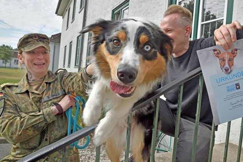 Vierbeiner „Sky“ sorgt für gute Stimmung im Team. In der Kaserne am Plöner See sind erst seit einiger Zeit Hunde anzutreffen.