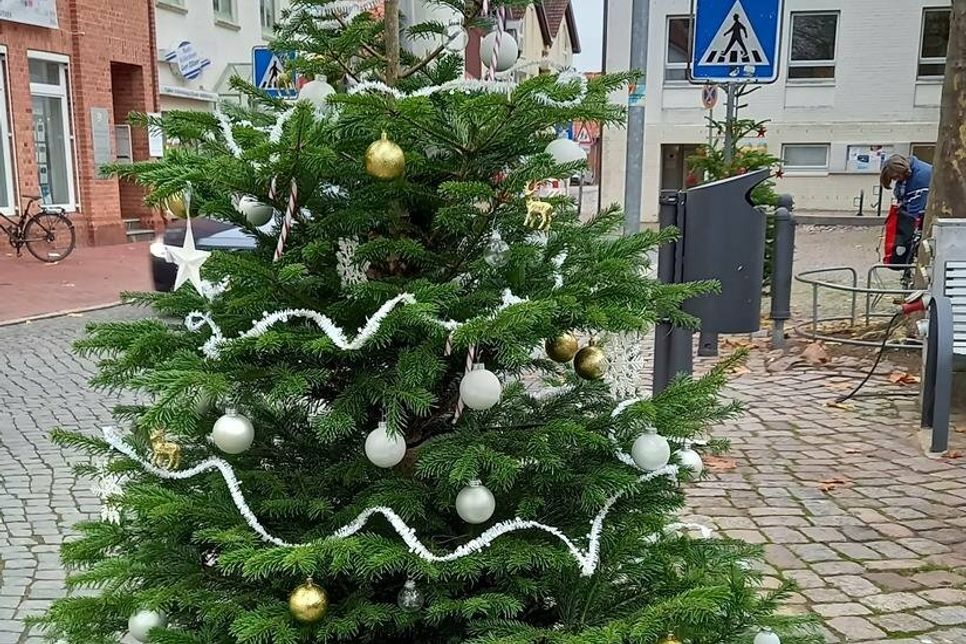 Möglichst viele Bäume sollen bis zum ersten Advent hübsch geschmückt sein. (Foto: Andrea Brunhöber)