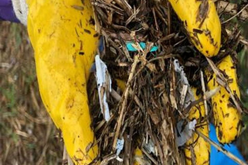 Unmengen an Kleinplastikteilen wurden gesammelt.