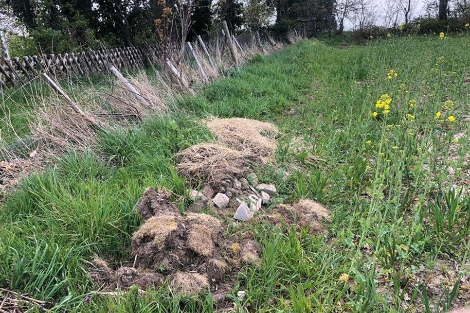 Bauschutt, Grasschnitt und Erde wurden hier einfach abgeladen.