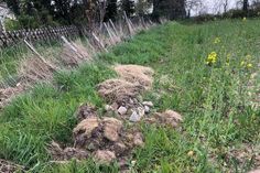 Bauschutt, Grasschnitt und Erde wurden hier einfach abgeladen.