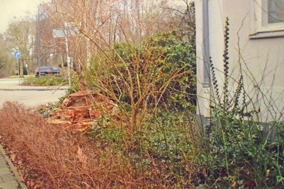 Rückblick vor der Neugestaltung: das Außengelände ist zugewuchert und wirkt wenig einladend.