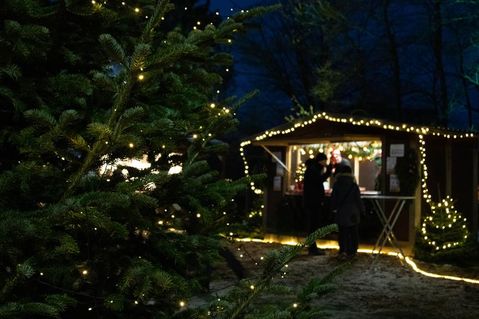 Das Ostseebad Kellenhusen punktet mit vielen Veranstaltungen über den Jahreswechsel.