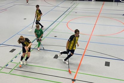 Mit konzentrierter Defensivarbeit, überlegtem Aufbauspiel und viel Mut in der Offensive behaupteten sich die Tigers.