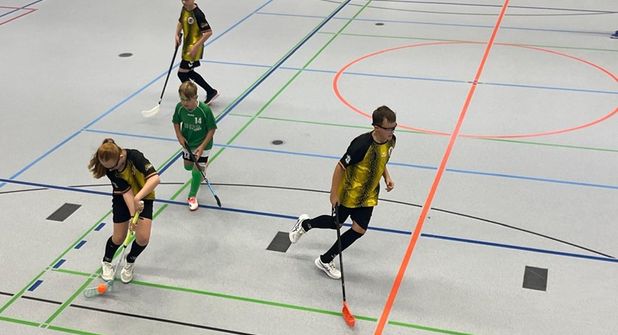Mit konzentrierter Defensivarbeit, überlegtem Aufbauspiel und viel Mut in der Offensive behaupteten sich die Tigers.