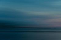 Ulrike Steinhoff fand ihre Fotomotive im Garten, am Straßenrand oder auch an der Ostseeküste.