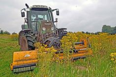 Mahd des Jakobskreuzkrauts in der Postseefeldmark bei Preetz.