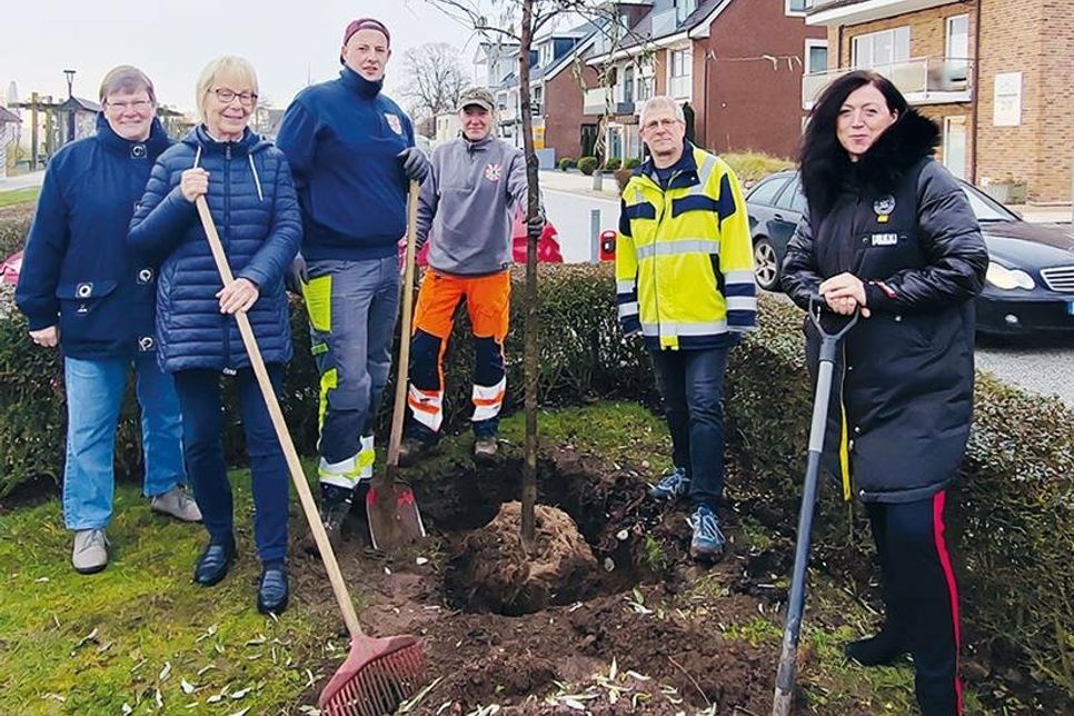 Bürgermeisterin Bettina Schäfer (rechts), Bürgervorsteherin Anja Bendfeldt (links), Gabriele Jungk, Vorsitzende des Umweltausschusses, bei der Neupflanzung einer Ölweide mit Dietmar Krieger von der Gemeindeverwaltung sowie René Witt und Patrik Busch vom Bauhof der Gemeinde Scharbeutz.