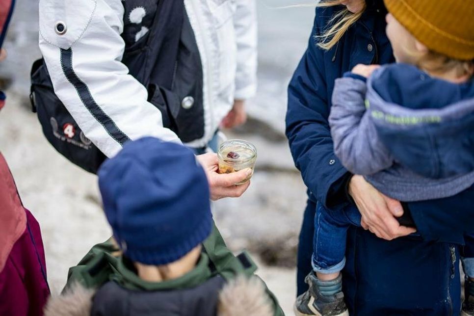 Foto: www.luebecker-bucht-ostsee.de