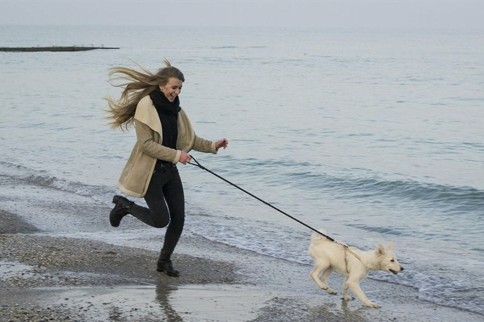 In der kühlen Jahreszeit dürfen Hunde wieder an den Strand.