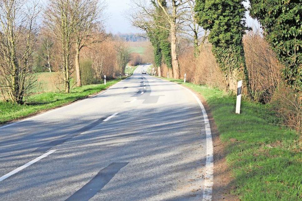 Der längere Abschnitt des sieben Kilometer langen Radweges liegt auf Schönwalder Gebiet, die Kosten werden jedoch brüderlich mit Lensahn geteilt.