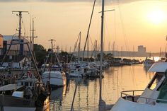 Im idyllischen Niendorfer Hafen finden am kommenden Wochenende die Niendorfer Hafentage statt, am Freitag von 14 bis 22 Uhr, am Samstag von 11 bis 22 Uhr und am Sonntag von 10 bis 20 Uhr.  (Foto: TSNT GmbH)