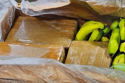 Beschäftigte eines Discounters hatten bei der Warenannahme am Montag verdächtige Pakete entdeckt und die Polizei informiert.