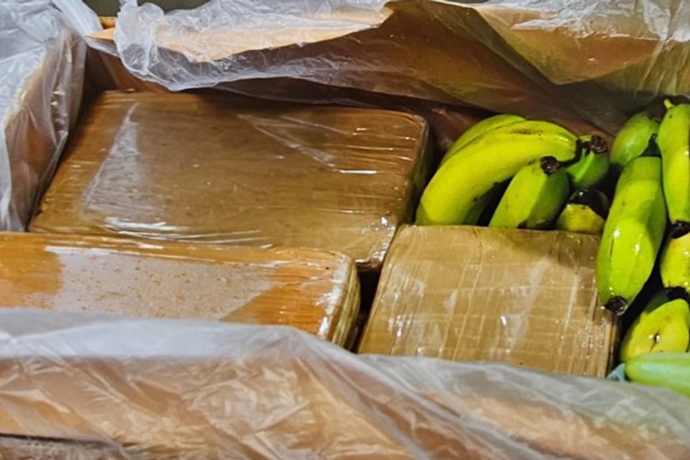 Beschäftigte eines Discounters hatten bei der Warenannahme am Montag verdächtige Pakete entdeckt und die Polizei informiert.