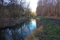 Die hübsche Dahmer Au mäandert durch Wald und Wiesen.