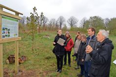 Ratekaus ehemaliger Umweltamtsleiter Jürgen Leicher (vorn) hatte den Wildbienenlehrpfad in seiner Amtszeit mit auf den Weg gebracht und stellte ihn jetzt mit seinem Nachfolger Torben Illige (2.v.r.) der Jury aus Kiel vor. (Foto: Setje-Eilers)