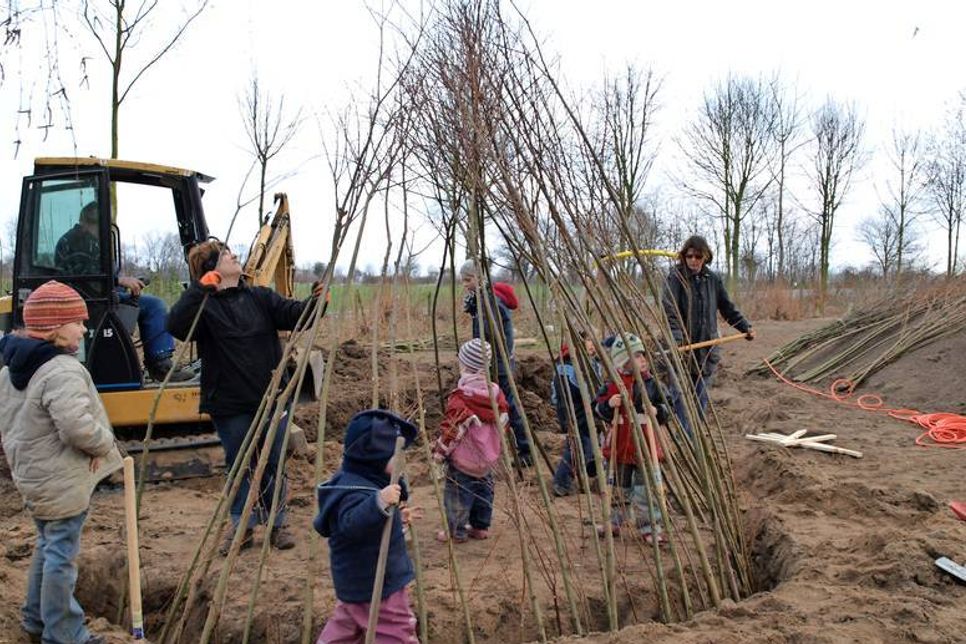 Die Gartenneugestaltung 2009.