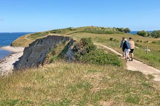 Die Ostsee (hier ein Bild von der Küste Dänemarks) ist ein sensibles Ökosystem.