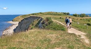 Die Ostsee (hier ein Bild von der Küste Dänemarks) ist ein sensibles Ökosystem.