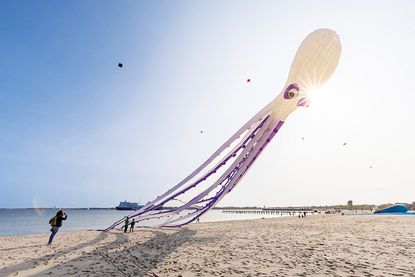 Beim Drachenfest in Travemünde steigen wieder riesige Flugobjekte in den Himmel.