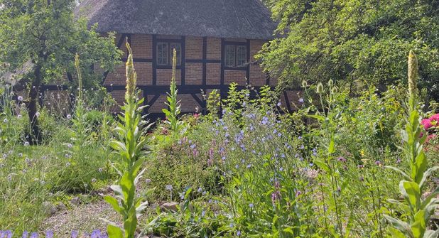 Beim „Offenen Garten“ im Naturerlebnisraum Schönwalde gibt es Infos zu mehr Natur im Garten.
