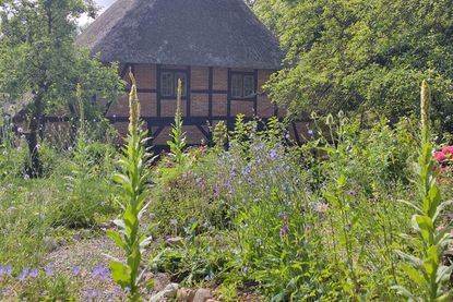 Beim „Offenen Garten“ im Naturerlebnisraum Schönwalde gibt es Infos zu mehr Natur im Garten.