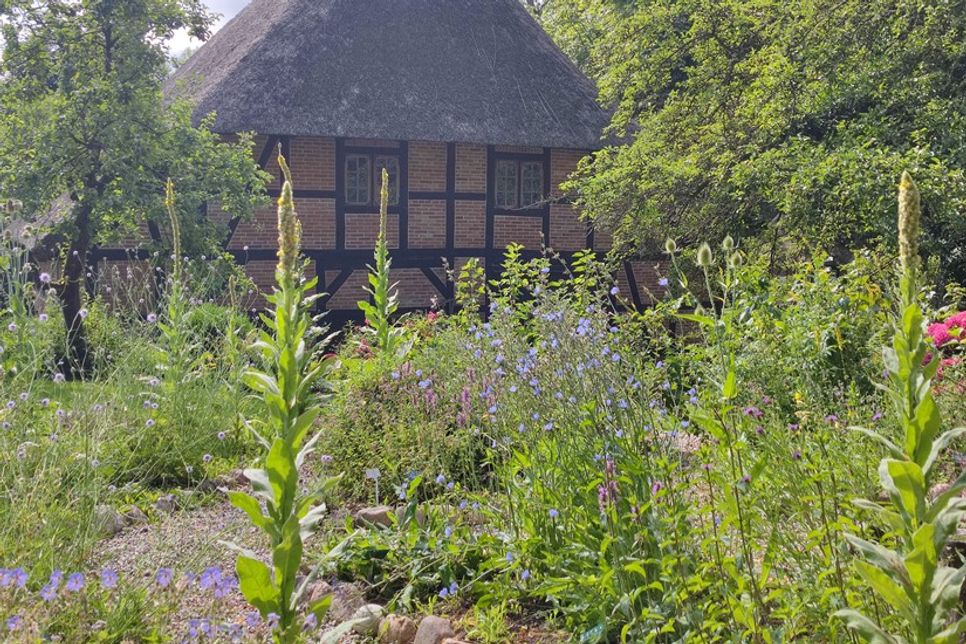 Beim „Offenen Garten“ im Naturerlebnisraum Schönwalde gibt es Infos zu mehr Natur im Garten.