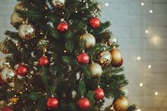 Ein Gutschein passt unter jeden Weihnachtsbaum.