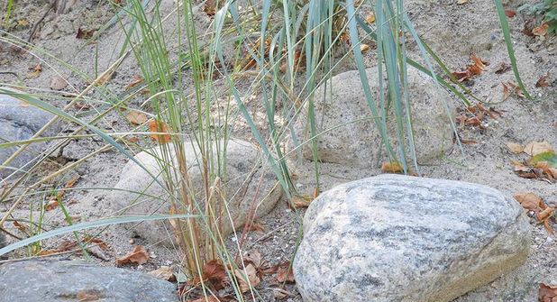 Mit dem neuen Feld auf dem Friedhof in der Plöner Straße gibt es einen Erinnerungsort für auf See Bestattete.