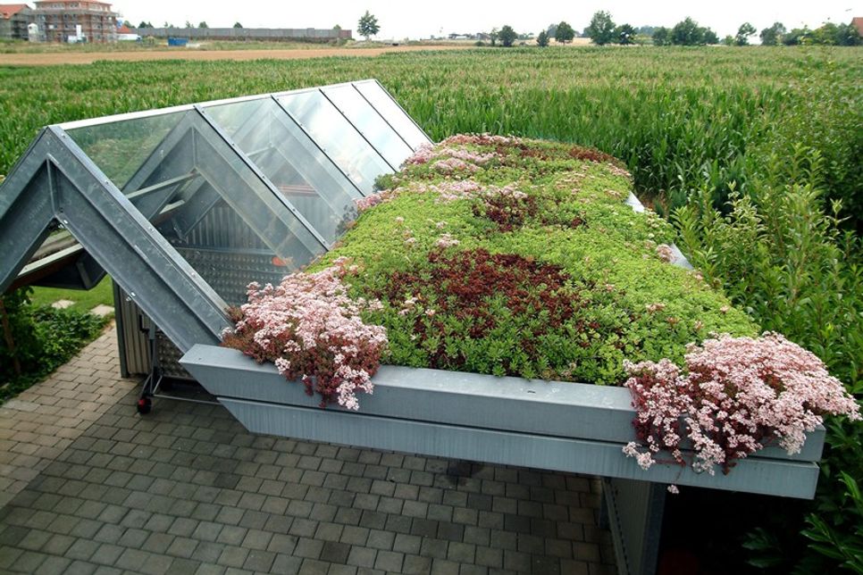 Selbst kleinere Flächen wie Garagen- und Carportdächer lassen sich nachträglich begrünen.