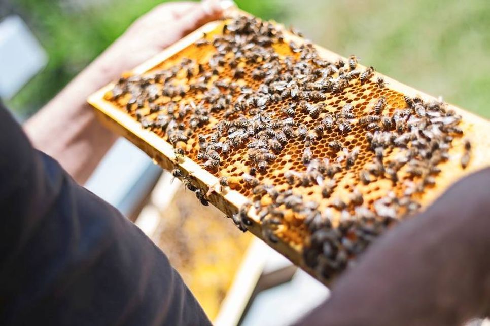 Polizei sucht Zeugen.