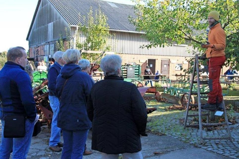 Tipps zum richtigen Obstbaum-Beschnitt.