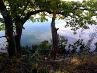 Einen besonderen Blick auf das Binnenwasser hat Claudia Winter geworfen, entstanden ist diese schöne Aufnahme.