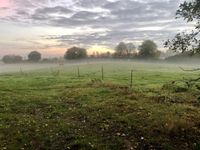 Frühaufstehen lohnt sich, um tolle Fotos zu machen. Mona Finke schickte uns diesen bezaubernden Eindruck von ihrer Joggingtour entlang der Rettiner Wiesen.