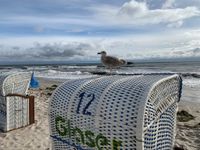 Dieses Motiv nahm Stefanie Pollan während ihres Urlaubs in Grömitz auf. Wir schicken ein herzliches Dankeschön nach Nordrhein-Westfalen zurück.