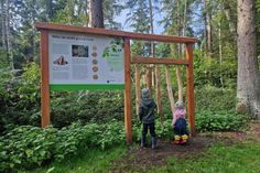 Die neuen Infotafeln im Kellenhusener Wald laden zum Entdecken und Mitmachen ein.