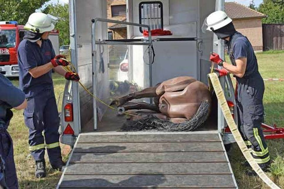 Rettungstraining eines losgerissenen und umgekippten Pferdes aus einem Anhänger, z. B. nach einer Vollbremsung