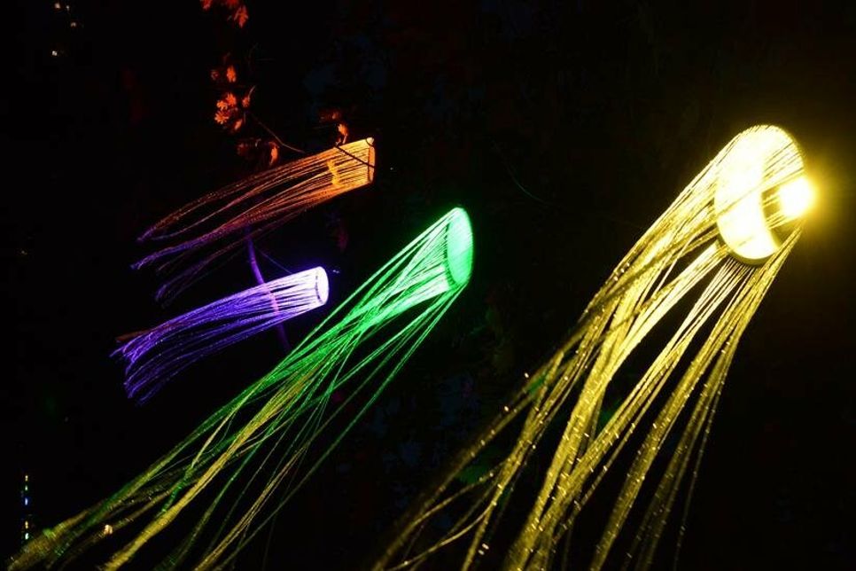 Einfach fantastisch kommen diese, an Quallen erinnernden Lichtinstallationen daher.