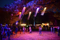 Im Lichterdorf in der Mitte des Kurparks warten Livemusik, Heißgetränke und Grillspezialitäten.