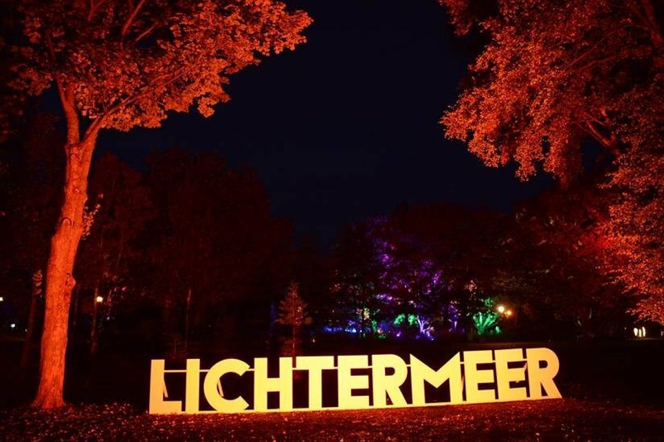 Zwischen zwei angestrahlten Bäumen hebt sich der Schriftzug „Lichtermeer“ hervor und markiert den Eingang zu einer anderen Welt.