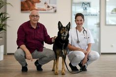 Klinikleitung Dr. Herbert Lüttgenau, Hund Lex und Tierärztin Sophie Heitkamp (v. lks.).
