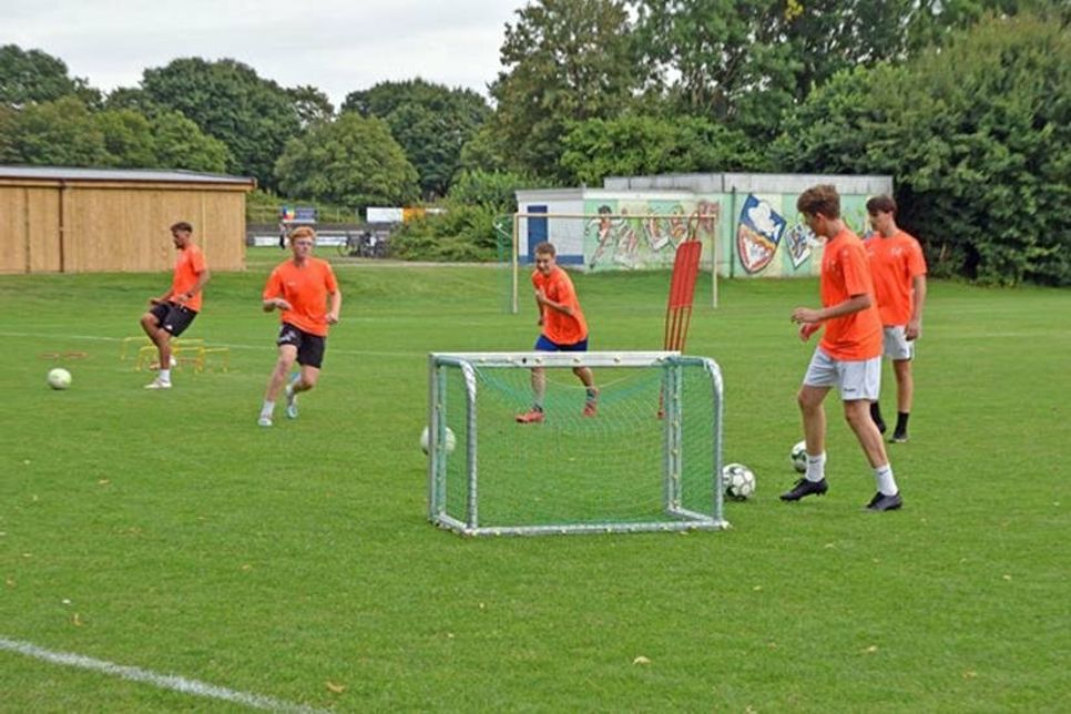 ... sowie Geschicklichkeitsübungen mit dem Ball ihre volle Konzentration beanspruchen.