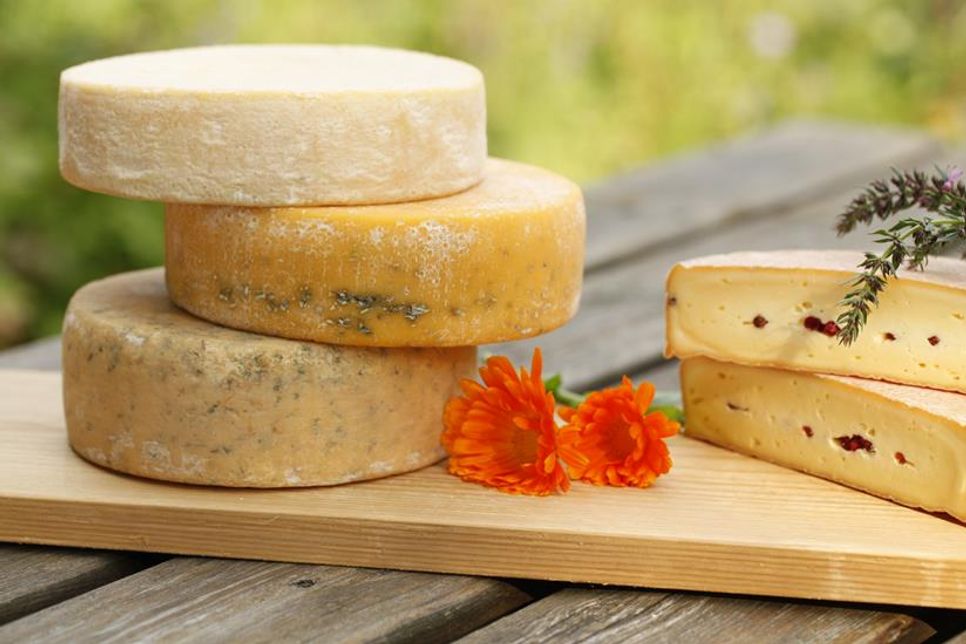 Klostersee-Käse.
