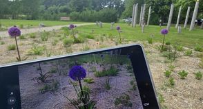 Bis zum 22. Juni können Gäste ihre schönsten und eindrucksvollsten Kellenhusen-Bilder beim Tourismus-Service Kellenhusen einreichen.