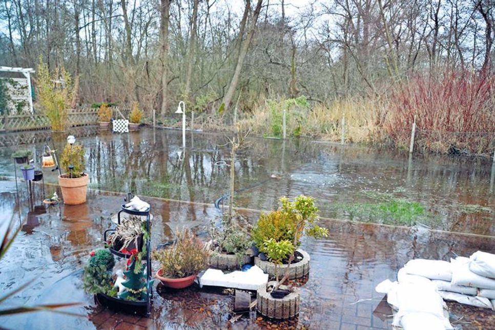 Das gesamte Grundstück im Erlenweg in Niendorf stand Anfang Januar unter Wasser. Hier der überflutete Garten, dahinter das Bruchwald-Grundstück der Gemeinde. (Foto: René Kleinschmidt)