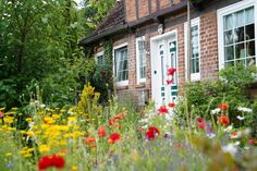 Süsel und seine Ortsteile bieten ein einzigartiges Erlebnis für Naturfreunde, Familien und Geschichtsinteressierte.