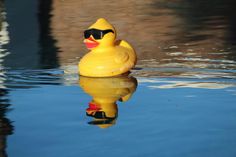 Teilnehmer-Enten gibt es bei Buchstabe am Markt und in der Alten Stadt-Apotheke.