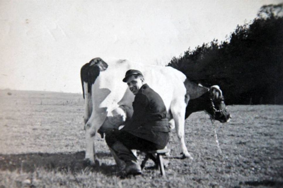 1955 wurde noch per Hand gemolken.